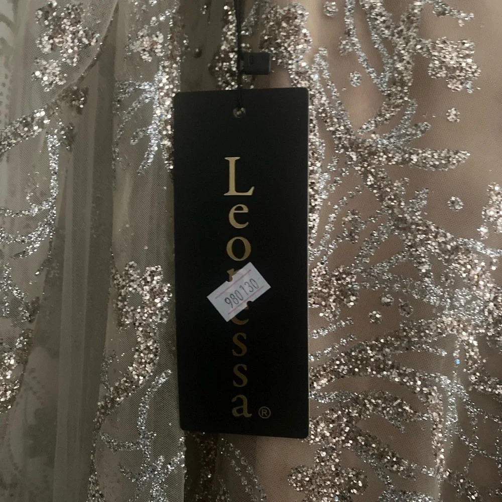 Elegant Silver Embellished Gown - Picture 5 of 8